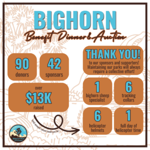 Bighorn Benefit Recap