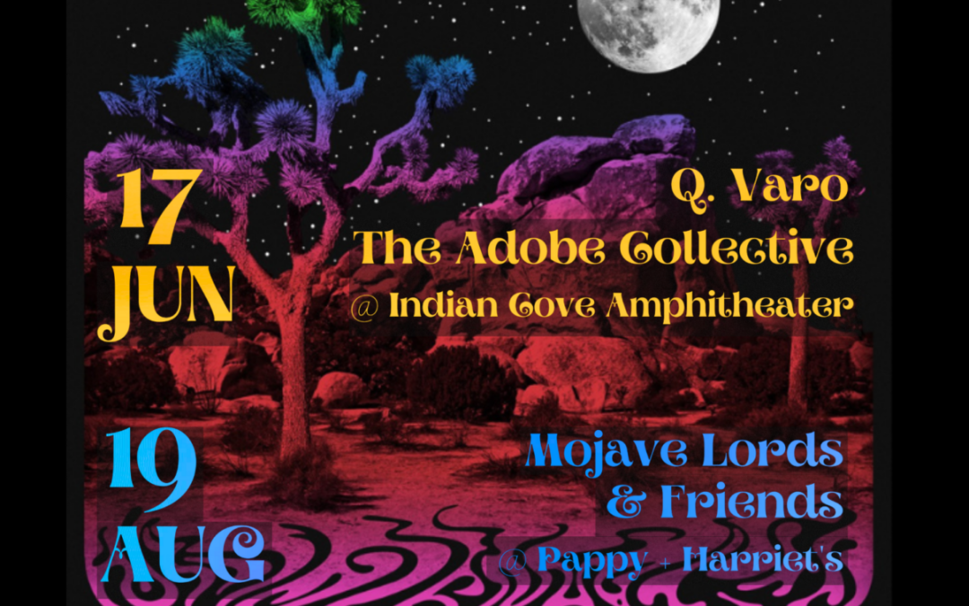 JTNPA Presents Beneath the Desert Sky