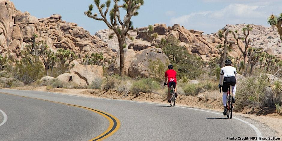 Two cyclists on a road in Joshua Tree National Park. Picture: NPS/Brad Sutton
