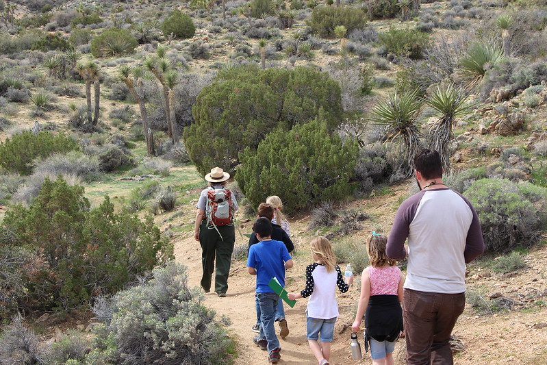 A group of children hike with a Joshua Tree National Park ranger. Picture by NPS/Hannah Schwalbe