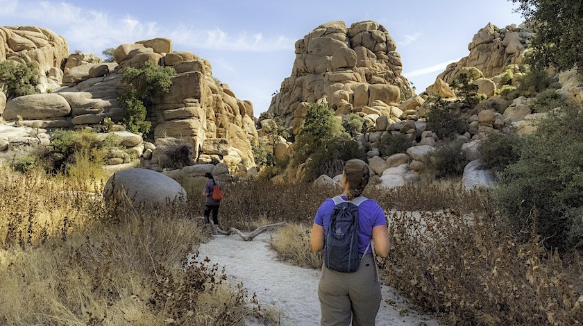 Two hikers on a sandy trail between large rock formations in Joshua Tree National Park. Picture by NPS / Emily Hassell