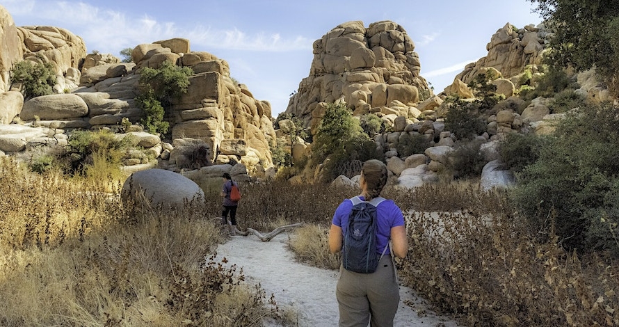 Two hikers on a sandy trail between large rock formations in Joshua Tree National Park. Picture by NPS / Emily Hassell